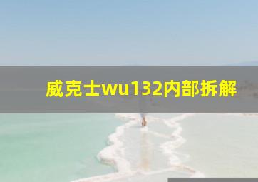 威克士wu132内部拆解