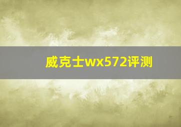 威克士wx572评测