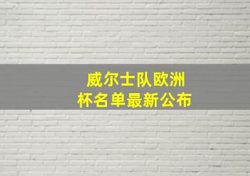 威尔士队欧洲杯名单最新公布