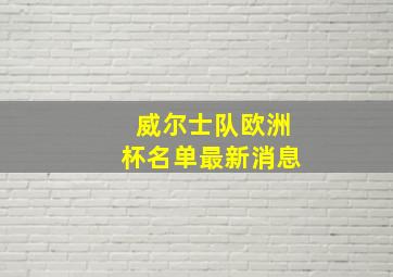 威尔士队欧洲杯名单最新消息