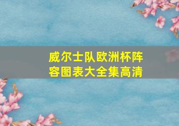 威尔士队欧洲杯阵容图表大全集高清