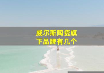 威尔斯陶瓷旗下品牌有几个