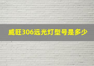 威旺306远光灯型号是多少