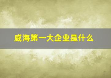 威海第一大企业是什么