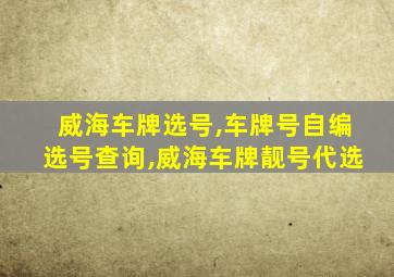 威海车牌选号,车牌号自编选号查询,威海车牌靓号代选