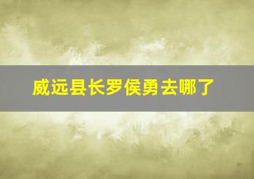 威远县长罗侯勇去哪了