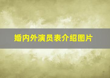 婚内外演员表介绍图片