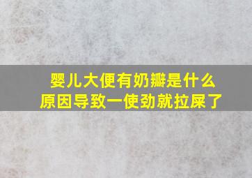 婴儿大便有奶瓣是什么原因导致一使劲就拉屎了