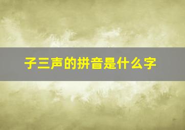 子三声的拼音是什么字