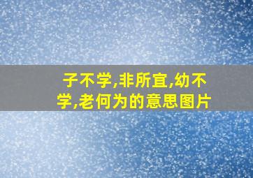 子不学,非所宜,幼不学,老何为的意思图片