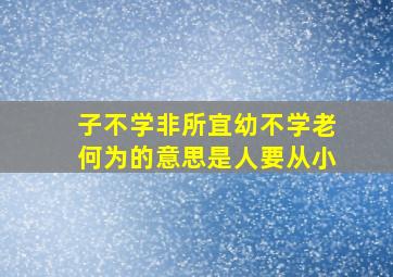 子不学非所宜幼不学老何为的意思是人要从小