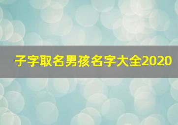 子字取名男孩名字大全2020