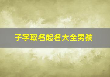 子字取名起名大全男孩