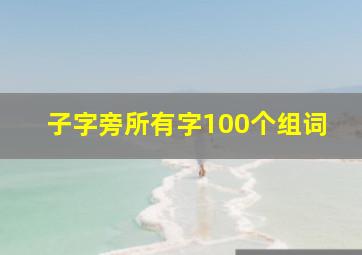 子字旁所有字100个组词