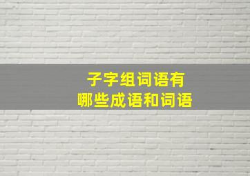 子字组词语有哪些成语和词语