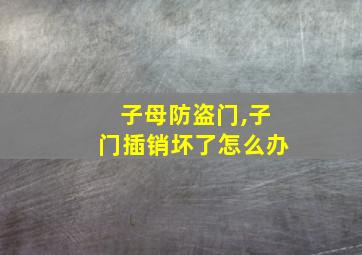 子母防盗门,子门插销坏了怎么办