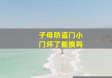 子母防盗门小门坏了能换吗