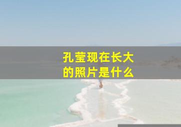 孔莹现在长大的照片是什么