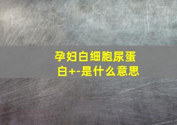 孕妇白细胞尿蛋白+-是什么意思