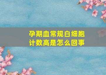 孕期血常规白细胞计数高是怎么回事