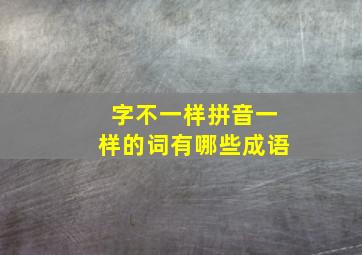 字不一样拼音一样的词有哪些成语