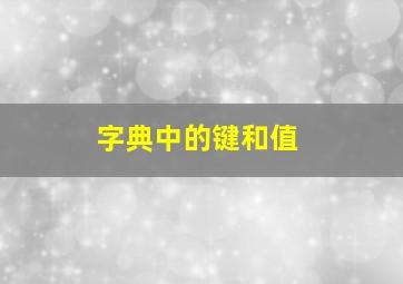 字典中的键和值