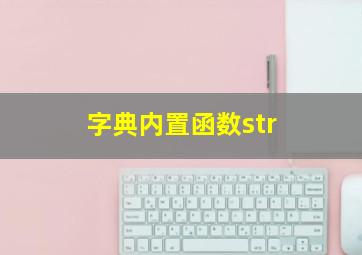 字典内置函数str