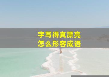 字写得真漂亮怎么形容成语