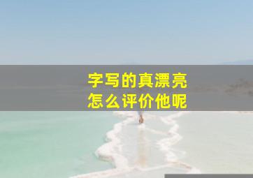 字写的真漂亮怎么评价他呢