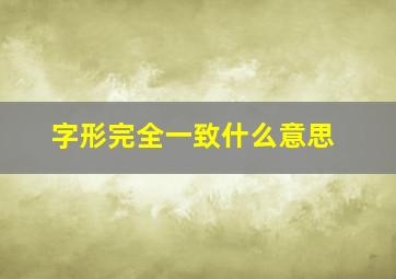 字形完全一致什么意思