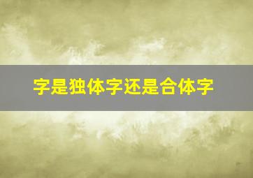 字是独体字还是合体字