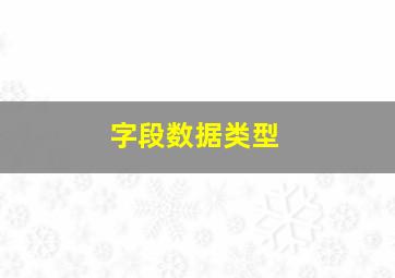 字段数据类型