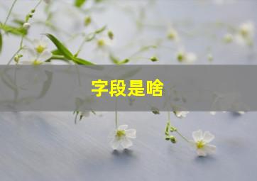 字段是啥