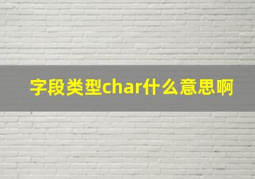 字段类型char什么意思啊