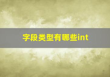 字段类型有哪些int