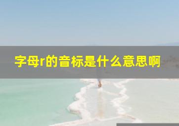 字母r的音标是什么意思啊