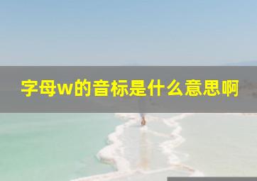 字母w的音标是什么意思啊