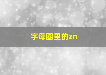 字母圈里的zn