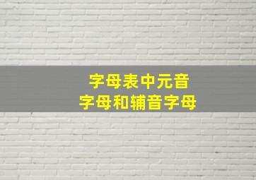 字母表中元音字母和辅音字母