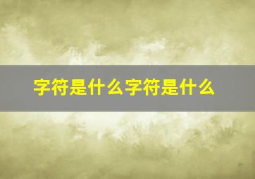 字符是什么字符是什么