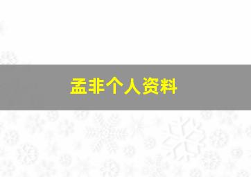 孟非个人资料