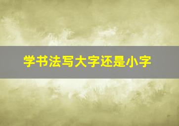 学书法写大字还是小字