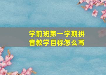 学前班第一学期拼音教学目标怎么写