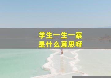 学生一生一案是什么意思呀