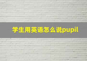 学生用英语怎么说pupil