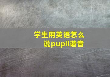 学生用英语怎么说pupil谐音