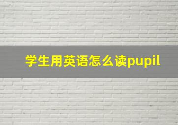 学生用英语怎么读pupil