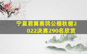 宁夏君翼赛鸽公棚秋棚2022决赛290名欣赏