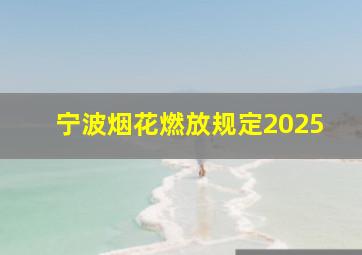 宁波烟花燃放规定2025