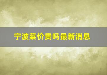 宁波菜价贵吗最新消息